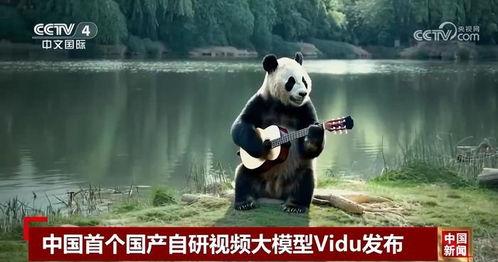 亚洲视频国产自