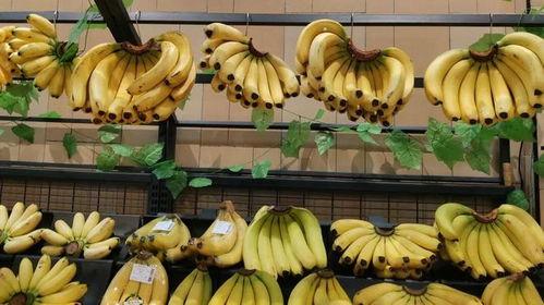 大香蕉大香蕉国产,探寻神秘国度的魅力与传奇